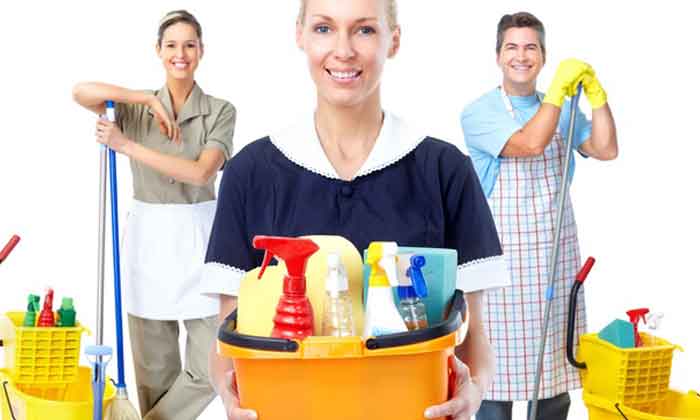 Qué son los servicios domésticos