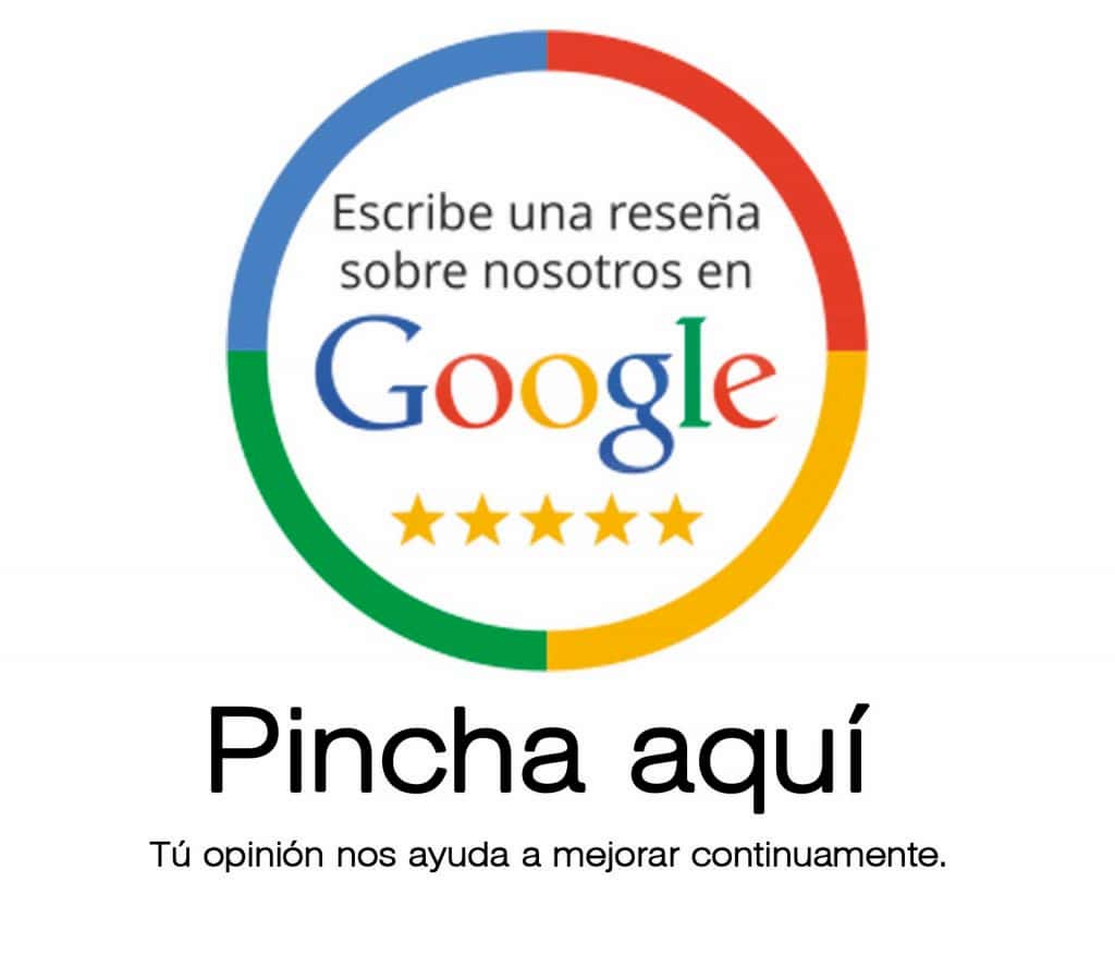 Reseña de Google